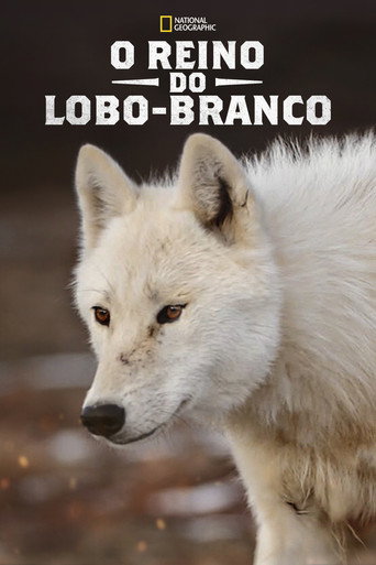 Assistir O Reino do Lobo-Branco online dublado e legendado
