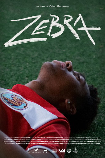 Assistir Zebra online dublado e legendado