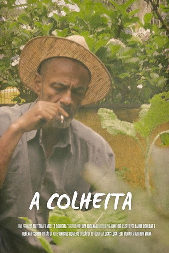Assistir A Colheita online dublado e legendado