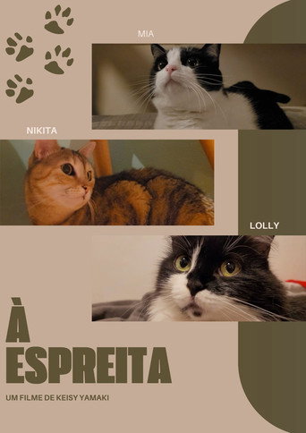 Assistir À Espreita online dublado e legendado