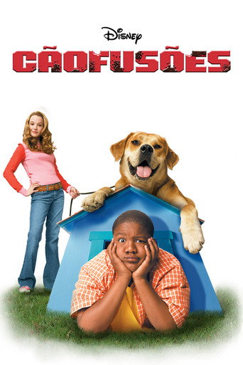 Assistir Cãofusões online dublado e legendado