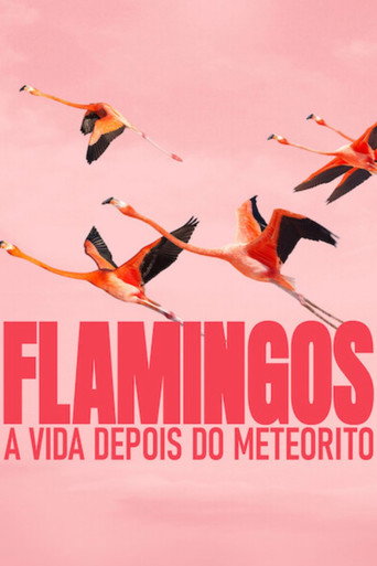 Assistir Flamingos: A Vida Depois do Meteorito online dublado e legendado