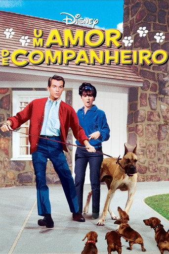Poster de Um Amor de Companheiro