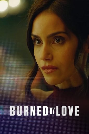 Assistir O Golpista do Amor online dublado e legendado