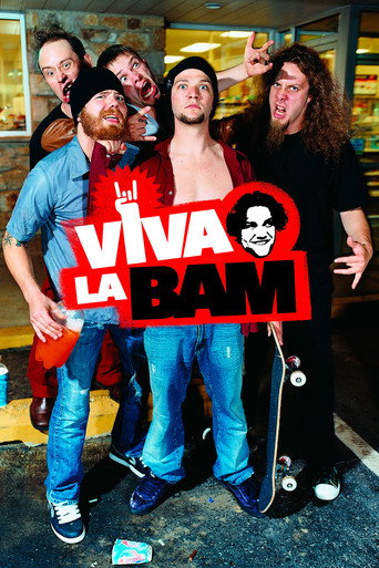 Poster de Viva La Bam