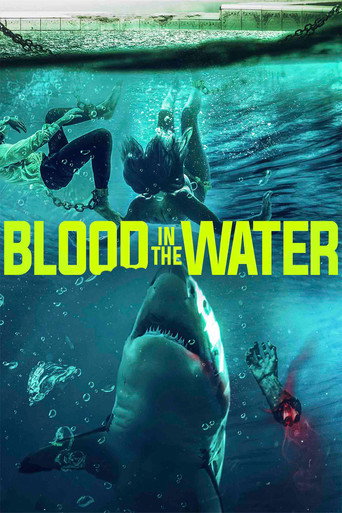 Assistir Blood in the Water online dublado e legendado