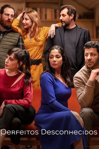 Assistir Perfeitos Desconhecidos online dublado e legendado