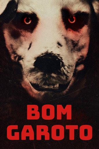 Assistir Bom Garoto online dublado e legendado