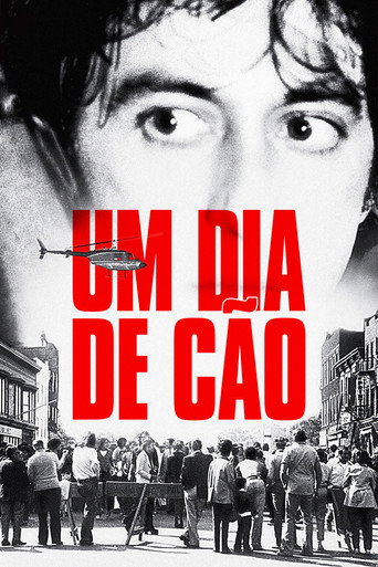 Poster de Um Dia de Cão