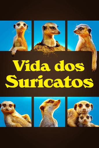 Assistir Vida dos Suricatos online dublado e legendado