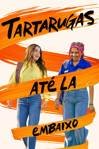 Poster de Tartarugas Até Lá Embaixo