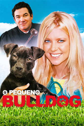 Assistir O Pequeno Bulldog online dublado e legendado