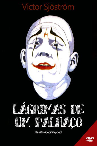 Poster de Ironia da Sorte