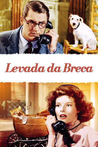 Poster de Levada da Breca