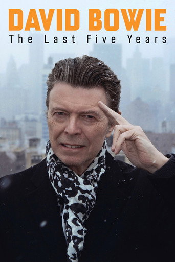 Poster de David Bowie: Os Últimos Cinco Anos