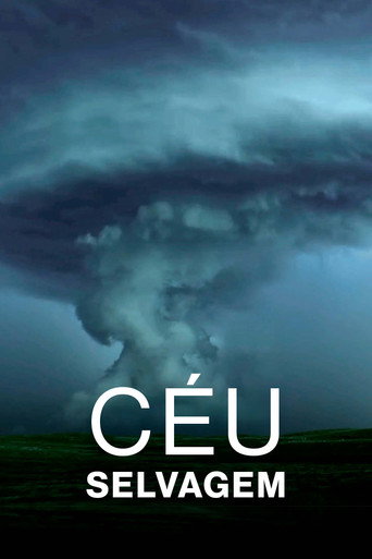 Assistir Céu Selvagem online dublado e legendado
