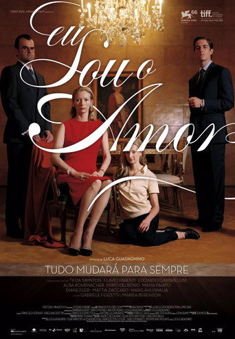 Assistir Um Sonho de Amor online dublado e legendado