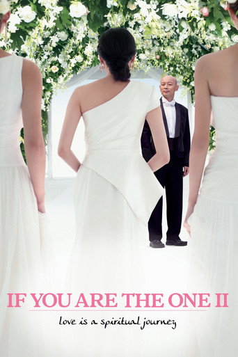 Poster de If You Are the One 2