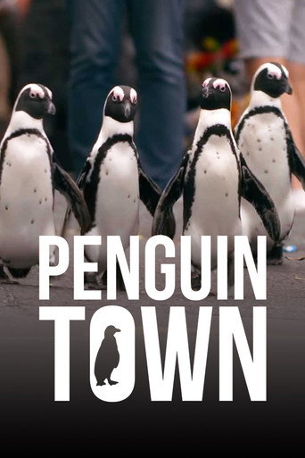 Poster de Cidade dos Pinguins