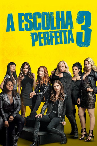 Poster de A Escolha Perfeita 3