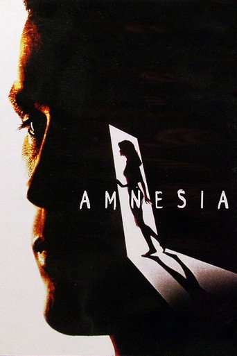 Assistir Amnésia online dublado e legendado