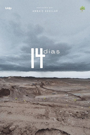Assistir 14 Días online dublado e legendado