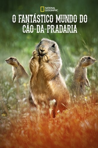 Assistir O Fantástico Mundo do Cão-da-Pradaria online dublado e legendado