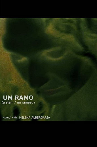 Assistir Um Ramo online dublado e legendado