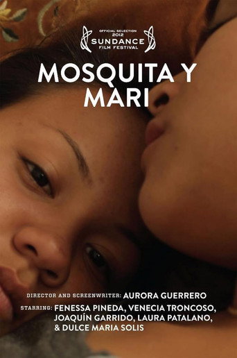 Assistir Entre Amores e Descobertas online dublado e legendado