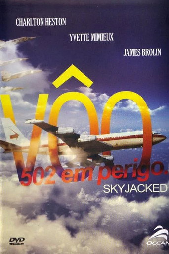Poster de Vôo 502: Em Perigo