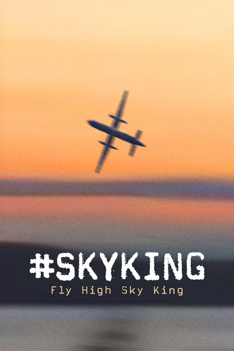 Assistir #SKYKING online dublado e legendado