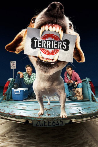 Poster de Terriers