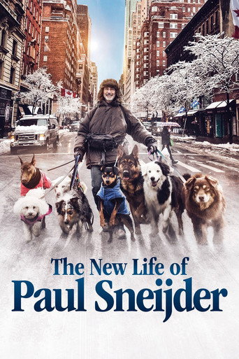 Poster de The New Life of Paul Sneijder