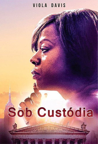 Assistir Sob Custódia online dublado e legendado