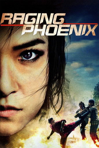 Poster de A Fênix Furiosa