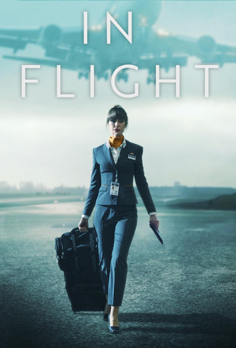 Assistir In Flight online dublado e legendado