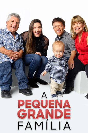 Poster de A Pequena Grande Família