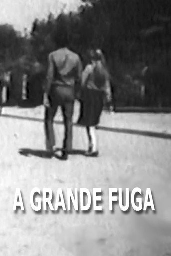 Assistir A Grande Fuga online dublado e legendado