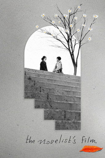 Poster de A Romancista e o seu Filme