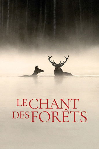 Assistir Le Chant des forêts online dublado e legendado