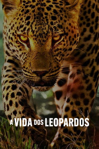 Poster de A Vida dos Leopardos