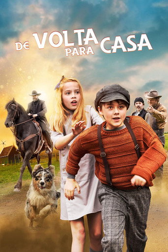 Assistir De Volta para Casa online dublado e legendado