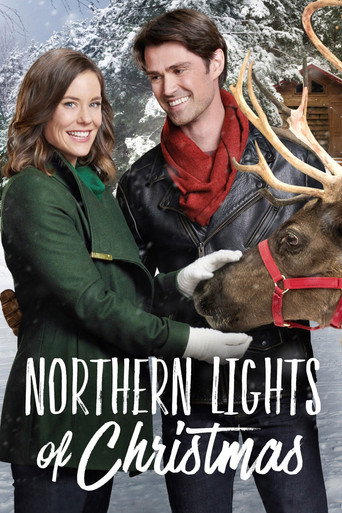 Poster de Luzes de Natal no Norte