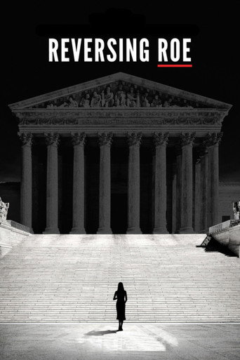 Poster de Roe x Wade: Direitos das Mulheres nos EUA