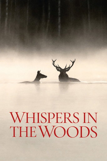 Poster de Whispers in the Woods