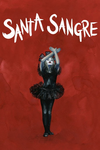 Poster de Santa Sangre