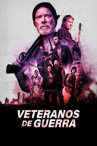 Poster de Veteranos de Guerra