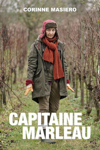 Assistir Capitaine Marleau online dublado e legendado