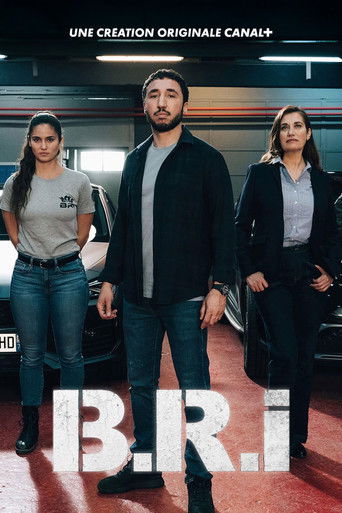 Poster de The Brigade