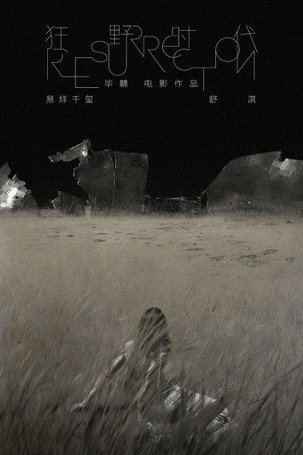 Assistir 狂野时代 online dublado e legendado